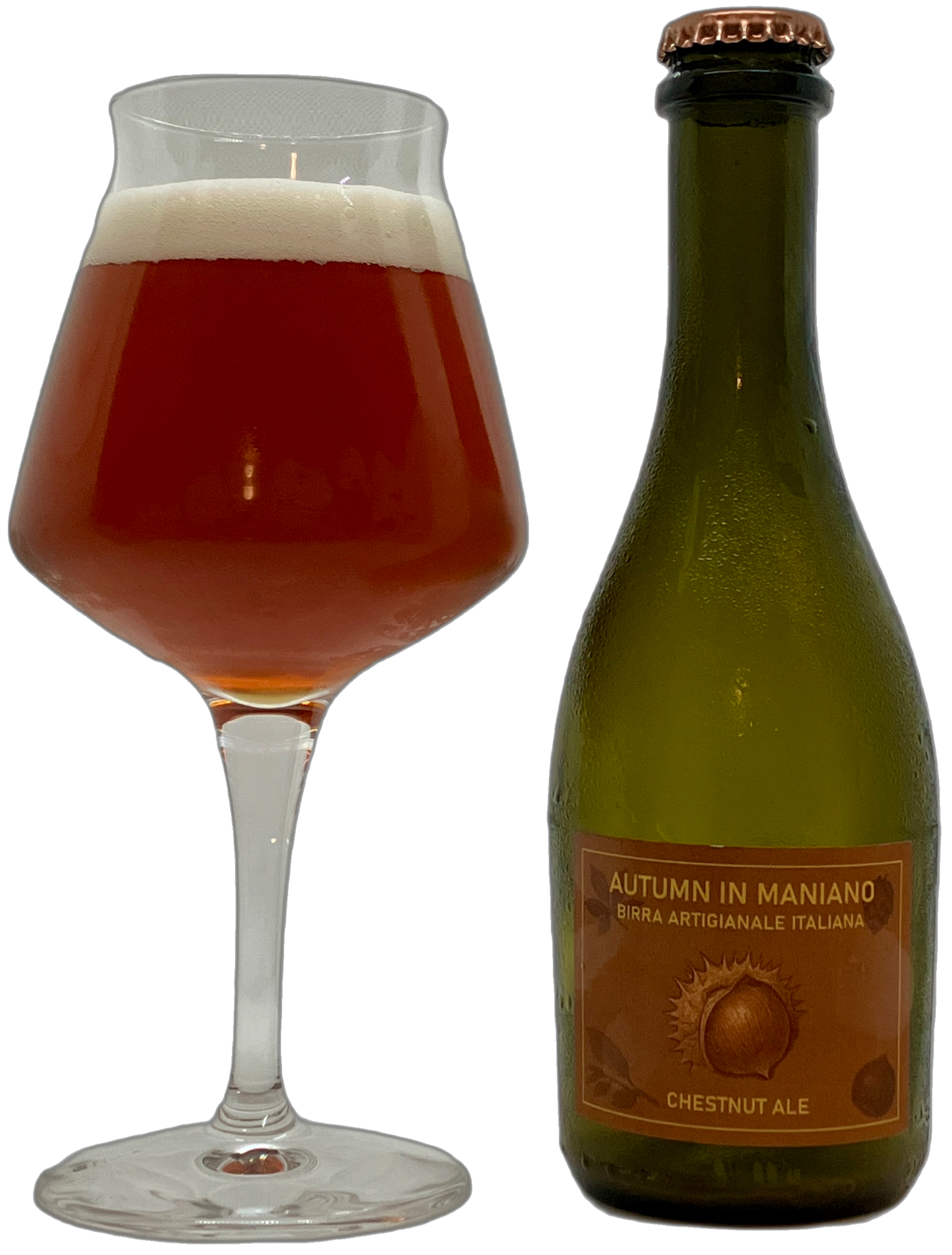 Birra Artigianale Italiana Stagionale Chestnut Ale alla Castagna