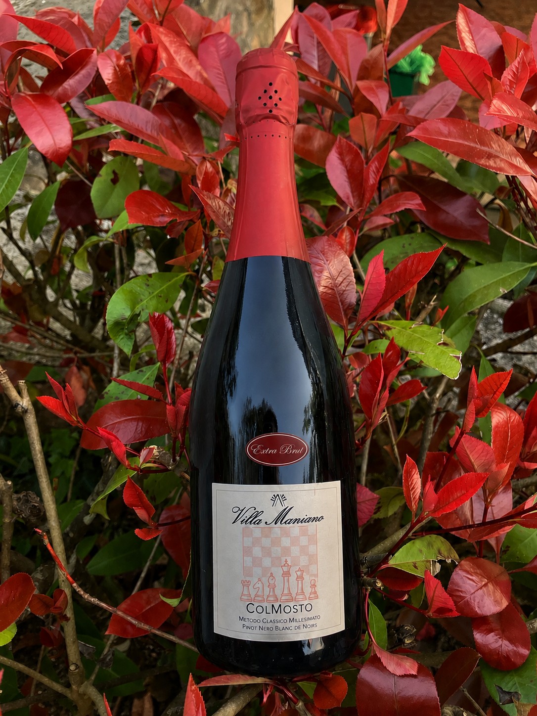 Spumante metodo classico millesimato Pinot Nero Blanc de Noirs, affinamento sui lieviti del mosto